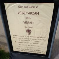 🥑 at Flicka Donkey Sanctuary in Penryn