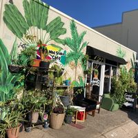 Outside at Mad Snake Cafe in Darwin