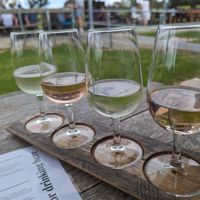 White wine taster at Four Winds Vineyard in Murrumbateman