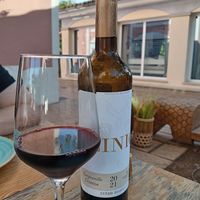 Zinio Red Wine 🍷 at Donna Vegana in Mallorca