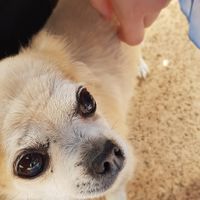 Best waiter ever   at Donna Vegana in Mallorca