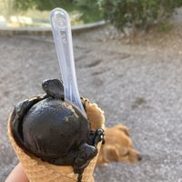 Black Hawaii   at Piran Pirano PastIccerIa in Piran