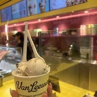 Cookies and cream & peanut butter honeycombb  at Van Leeuwen Ice Cream - Hudson Yards in New York City