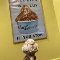 PB brownie in a sugar cone  at Van Leeuwen Ice Cream - Prospect Heights in Brooklyn