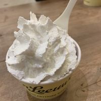   at Van Leeuwen Ice Cream - Seaport in New York City