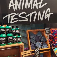 Fighting animal testing at LUSH - Fontana di Trevi in Rome