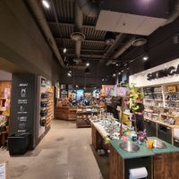  at LUSH - Fontana di Trevi in Rome