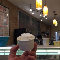 Coconut at Geneva Gelato in Geneva