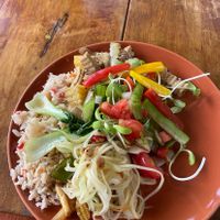 Vegan selection 🌱  at Phuket Elephant Sanctuary in Phuket