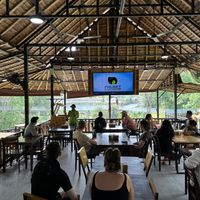  at Phuket Elephant Sanctuary in Phuket