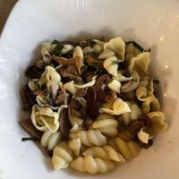 Mushroom pasta   at Ciccia Osteria in San Diego