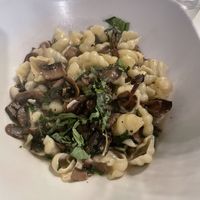 Conchiglie  at Ciccia Osteria in San Diego