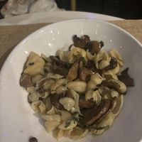   at Ciccia Osteria in San Diego