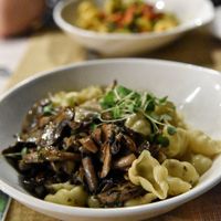Truffle Pasta at Ciccia Osteria in San Diego