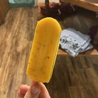 Mango  at The Hyppo in St Augustine