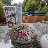 Free all animals! at The Base Vegan Retreat & Small Animal Sanctuary in Bristol