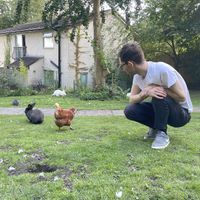 Hanging with the rabbits and chickens   at The Base Vegan Retreat & Small Animal Sanctuary in Bristol