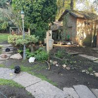  at The Base Vegan Retreat & Small Animal Sanctuary in Bristol