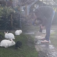   at The Base Vegan Retreat & Small Animal Sanctuary in Bristol