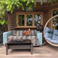  at The Base Vegan Retreat & Small Animal Sanctuary in Bristol