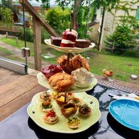   at The Base Vegan Retreat & Small Animal Sanctuary in Bristol