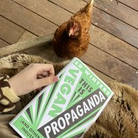   at The Base Vegan Retreat & Small Animal Sanctuary in Bristol