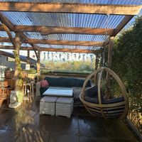   at The Base Vegan Retreat & Small Animal Sanctuary in Bristol