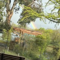   at The Base Vegan Retreat & Small Animal Sanctuary in Bristol