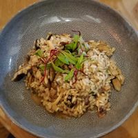 Risoto de cogumelos at Emporio Canela in Canela