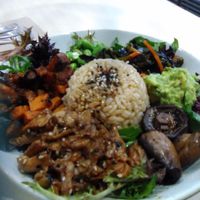 Really good at Home Vegan Bar in Docklands