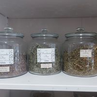  at La Reserve Naturelle in Montreal