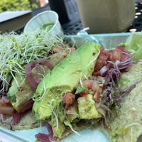   at Turf Surf & Earth in Somerville