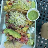   at Turf Surf & Earth in Somerville