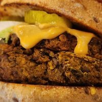 Lentil and Mushroom Double Burgee with Whole Wheat Bun, Cashew Cheese, Onions, Pickels and Avocado at Turf Surf & Earth in Somerville