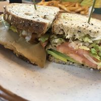 Turk’y club  at Turf Surf & Earth in Somerville