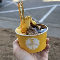 Vegan gelato  at Il Gelato di Carlotta in Niagara-on-the-lake