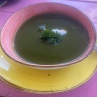 The most wonderful soup. Spinach with ginger, pesto, cream cheese   #Veganuary at Pico Feliz in Samara