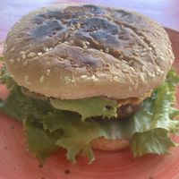 Vegan cheeseburger - all homemade and fabulous   at Pico Feliz in Samara