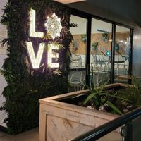 Outs at Tocaya Modern Mexican in Toluca Lake