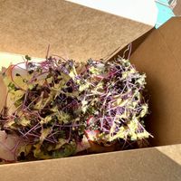   at The Wake & Take in Arroyo Seco