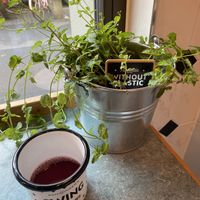   at Swing Kitchen - Laupenstraße in Bern