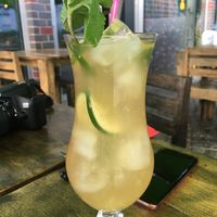 moskito  at Unami in Teltow