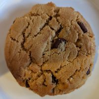Chocolate Walnut Cookie at Tasty Harmony in Fort Collins