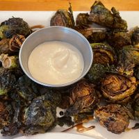 Brusselss  at Tasty Harmony in Fort Collins