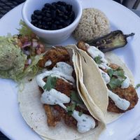 oyster mushroom tacos  at Tasty Harmony in Fort Collins