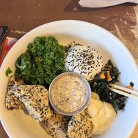   at Tasty Harmony in Fort Collins