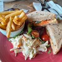  at The Donkey Sanctuary in Sidmouth