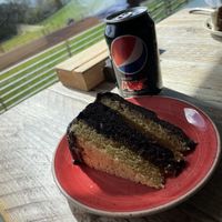   at The Donkey Sanctuary in Sidmouth