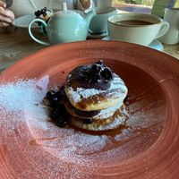   at The Donkey Sanctuary in Sidmouth