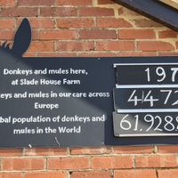  at The Donkey Sanctuary in Sidmouth